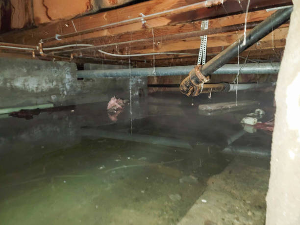 Best Water damage restoration services  in Malvern, PA