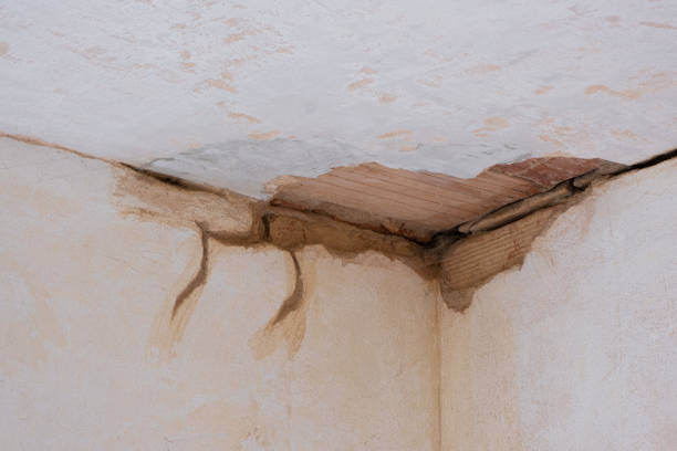 Best Mold removal after water damage  in Malvern, PA