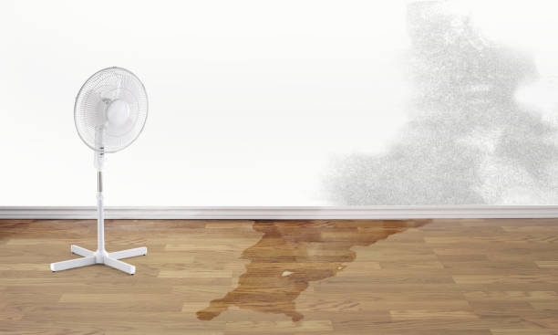 Best Carpet water damage restoration  in Malvern, PA