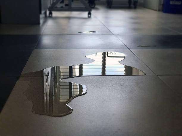 Best Water damage contractors near me  in Malvern, PA