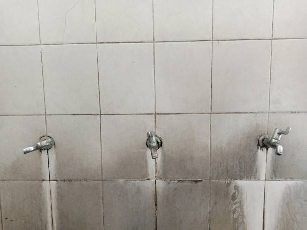 Best Residential water damage restoration  in Malvern, PA