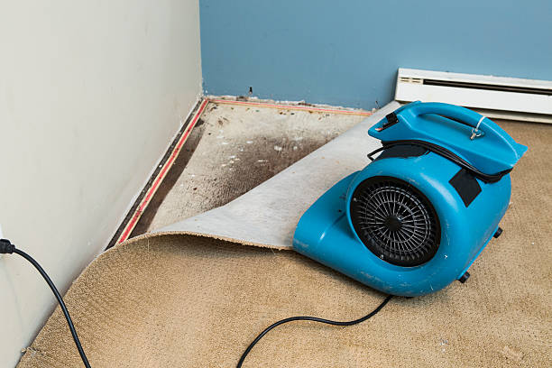 Best Fire Damage Restoration  in Malvern, PA